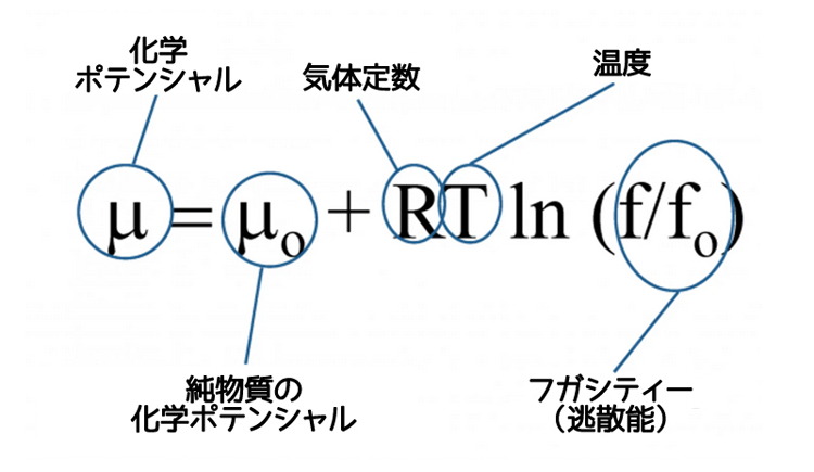 式1