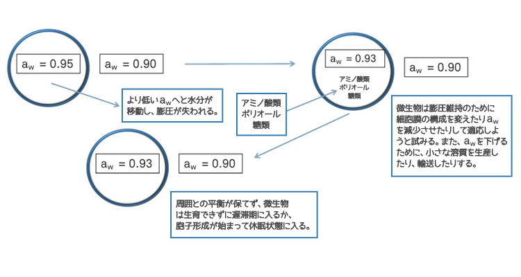 図3