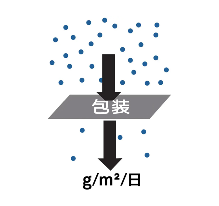 図6