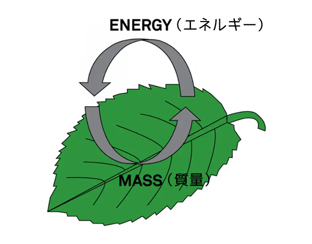 図2