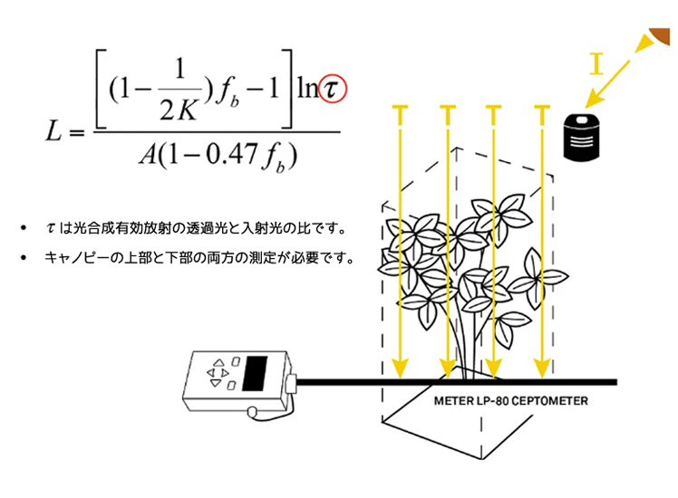 図10