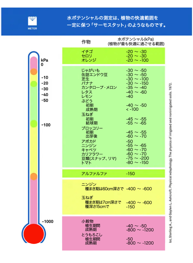 表1